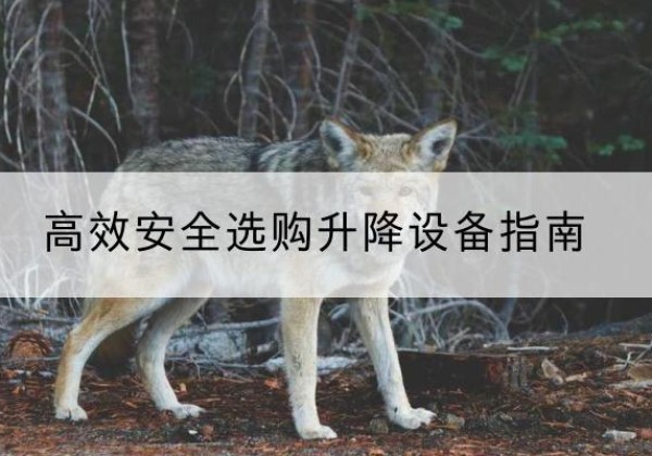 广河升降货梯厂家推荐-*安全选购升降设备指南