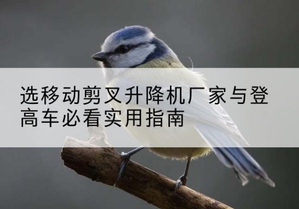 广河电动升降机厂家-选移动剪叉升降机厂家与登高车必看实用指南
