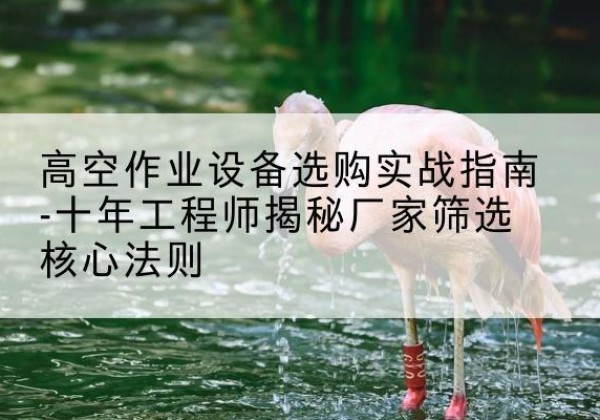 广河剪叉式升降机厂家-高空作业设备选购实战指南-十年工程师揭秘厂家筛选核心法则