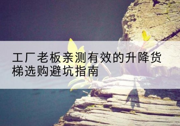广河升降货梯怎么选-工厂老板亲测有效的升降货梯选购避坑指南